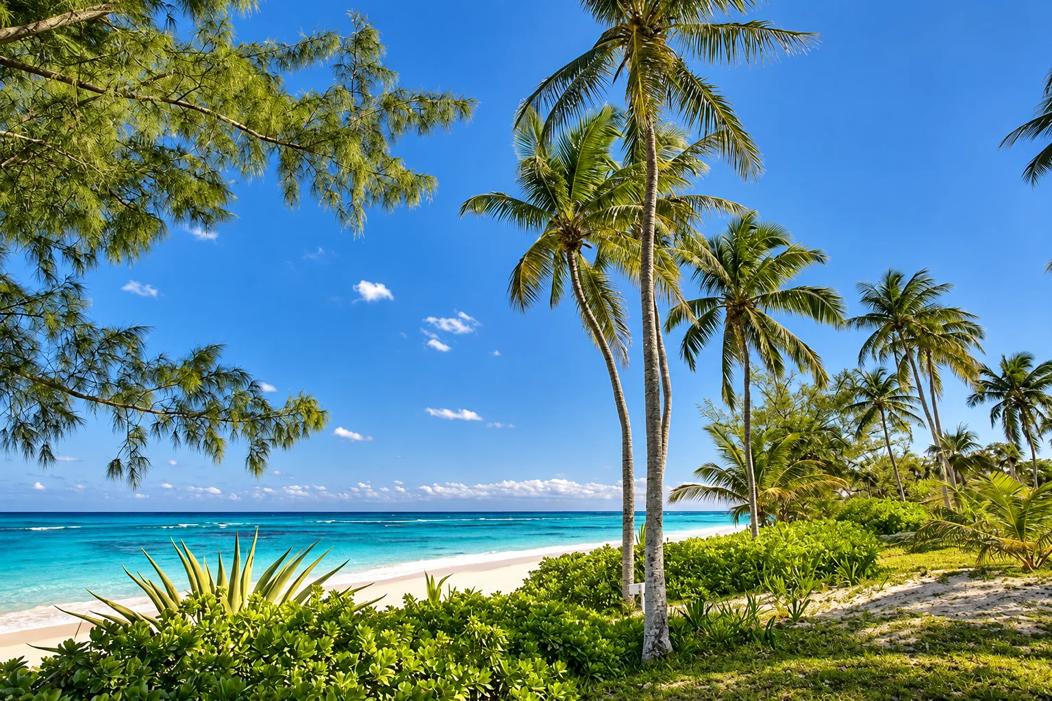 Palm trees and lush coastal gardens overlooking a white sand beach and turquoise sea in The Bahamas