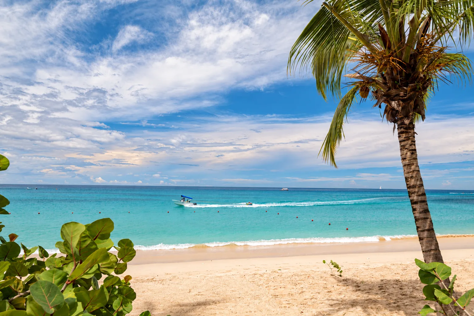 Palm trees overlooking a turquoise sea and sandy beach in Barbados