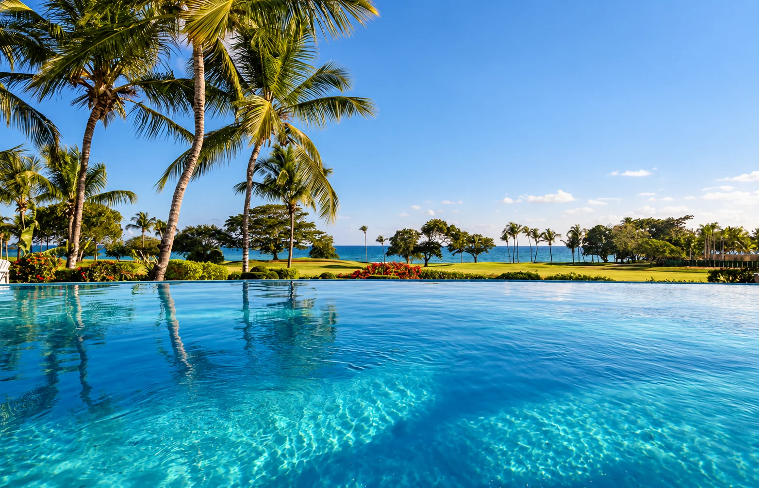 An infinity pool overlooking palm-lined lawns and the ocean in the Dominican Republic