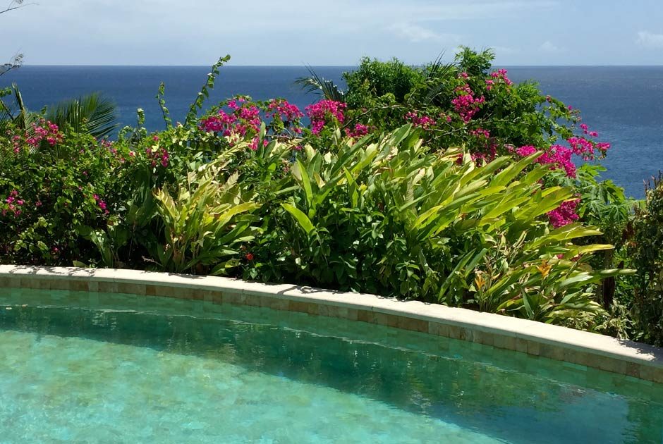 Private pool framed by tropical flowers overlooking the Caribbean Sea in St. Lucia