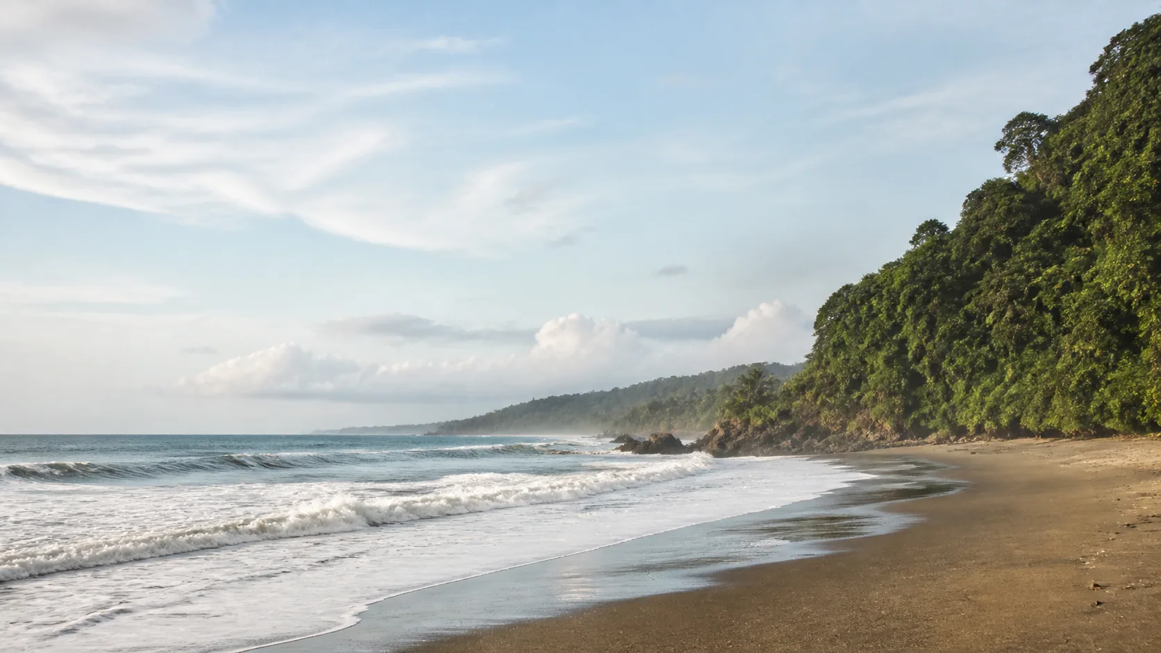 AI-generated illustration: Rainforest beside a darker sand Pacific surf beach inspired by Dominical.