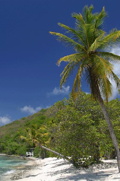Sea Grape Cottage