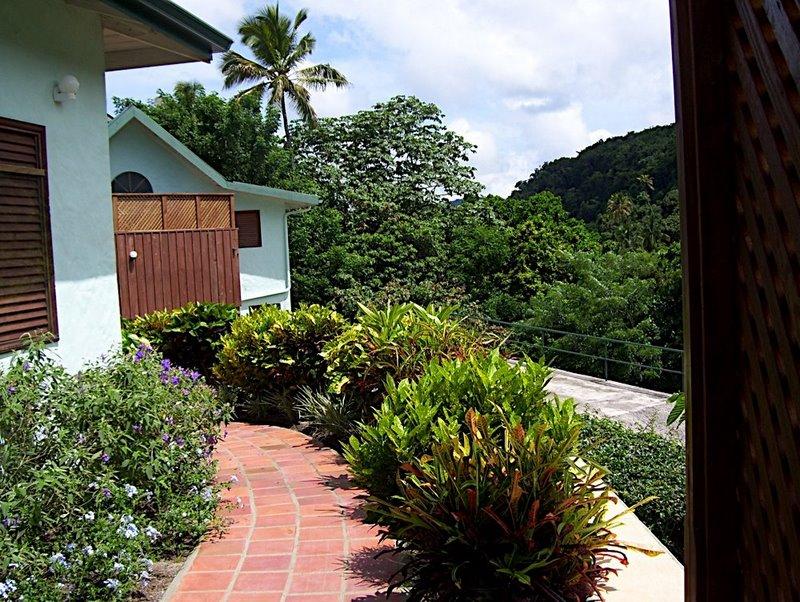 La Fleur des Pitons