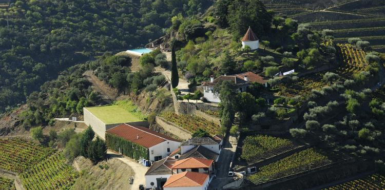 Quinta de D. Carlos