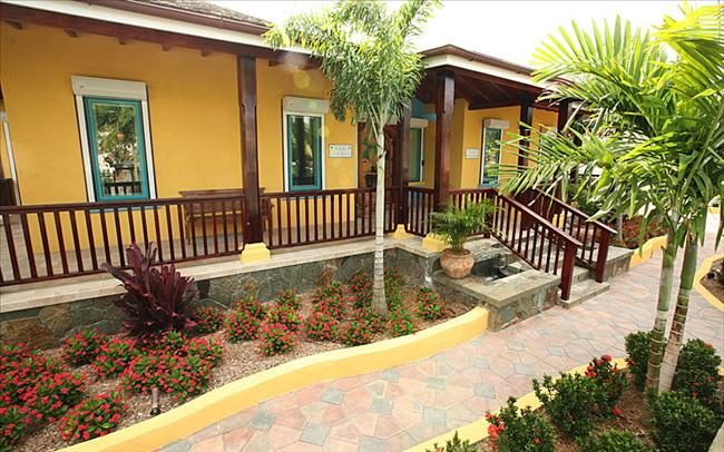 Tropical Breeze photo 8