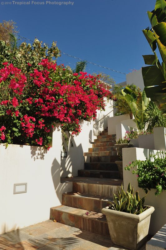 Casa Mare photo 6