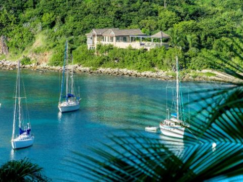 Beach Garden in Chocolate Hole, St. John
