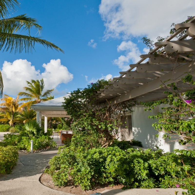 Palm Point photo 16