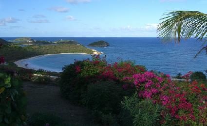 Dolce Vita photo 3