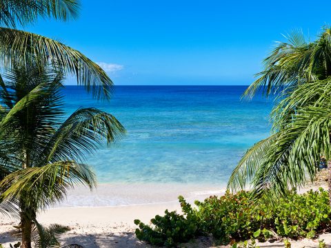 Schooner Bay 201- Flamboyant in St. Peter, Barbados