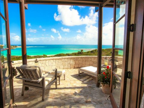 Bird of Paradise in Sandy Hill, Anguilla