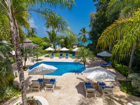 Sandalo in Barbados