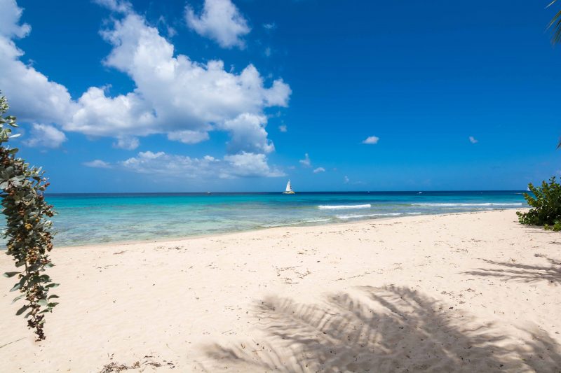 Radwood Beach Villa No. 1 photo 9