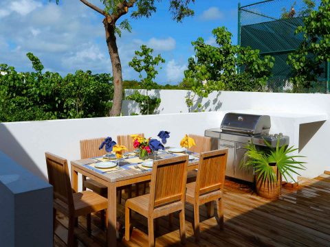 Zenaida in Sandy Hill, Anguilla
