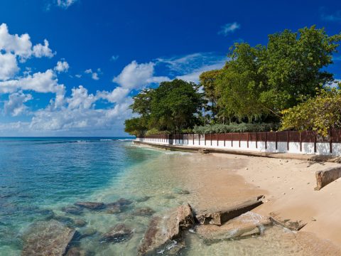 Blue Point in Barbados
