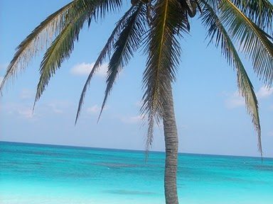 Seven Palms in Bahamas