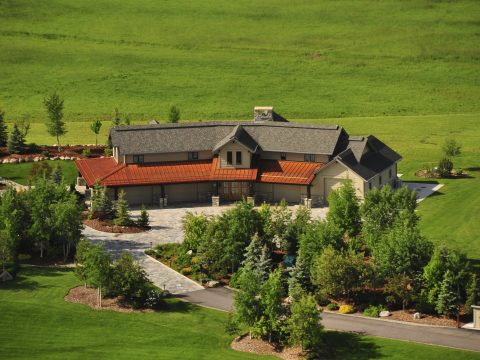 Wildflower Meadows in Steamboat Springs, Colorado