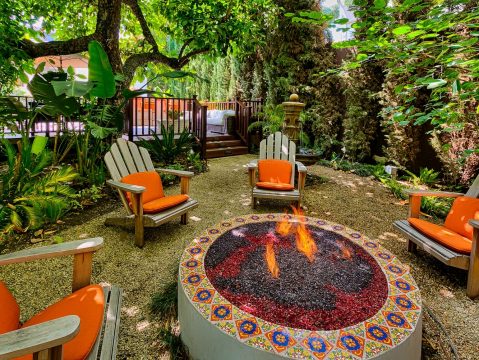 Olive Oasis in West Hollywood, California