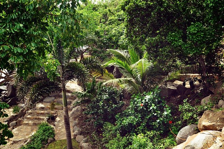 Villa LaVida photo 15