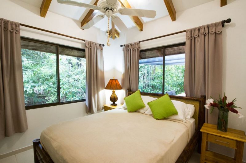 Casa Morpho photo 7