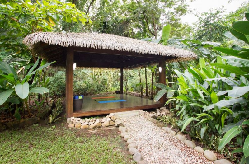 Casa Monarca photo 3