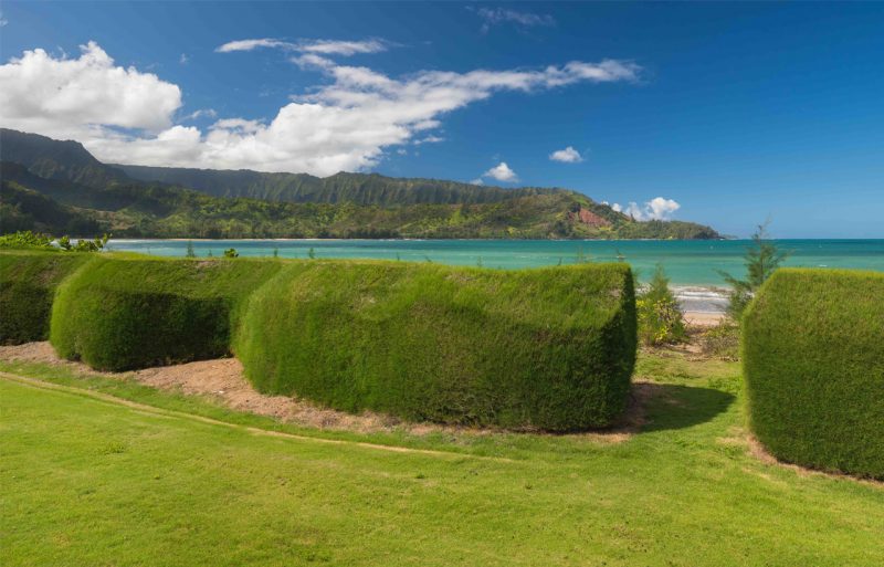 Hanalei Nalu photo 10