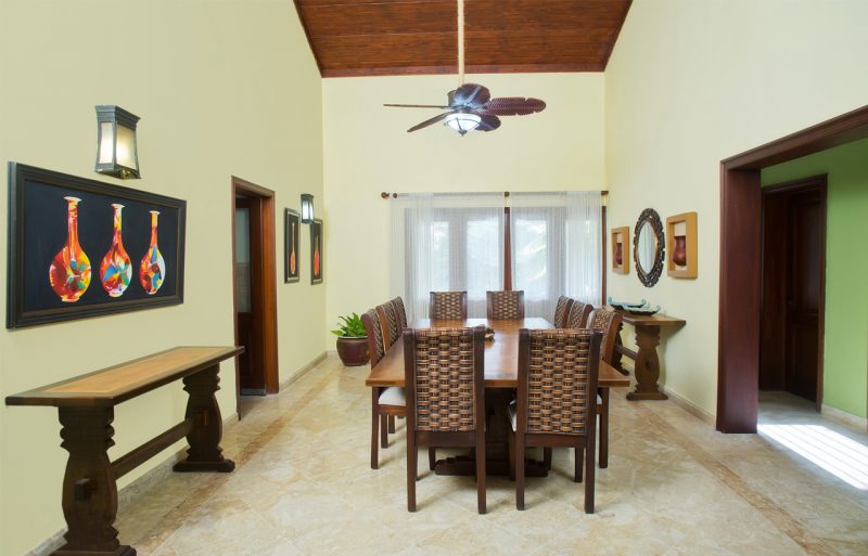 Villa Los Cisnes photo 6