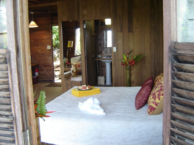 Jungle Bay photo 6