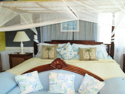 Limeberry House in Tortola