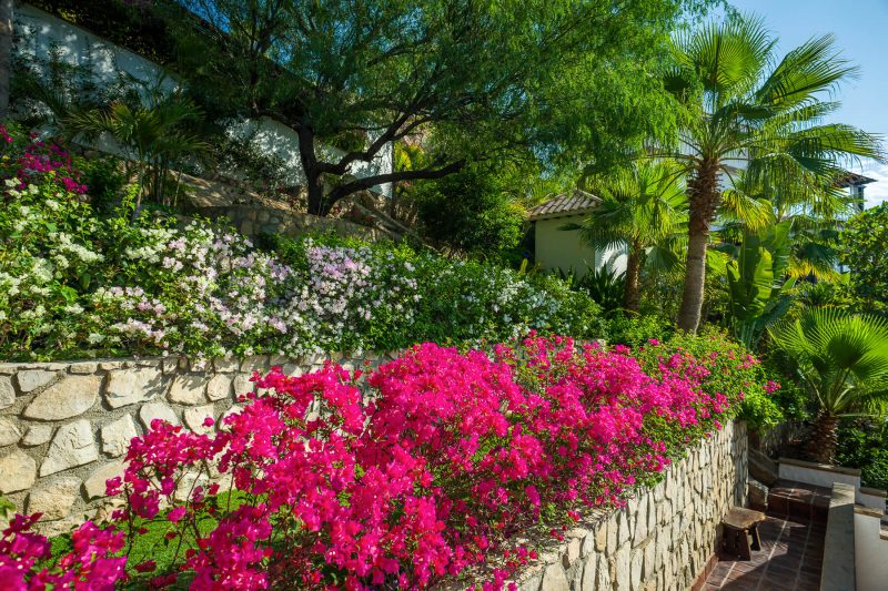 Casa Connie photo 25