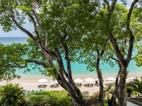 Crowsnest - Coral Cove 14 in Paynes Bay, Barbados