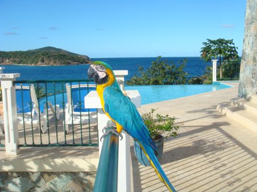Neltjeberg Bay Villa photo 3