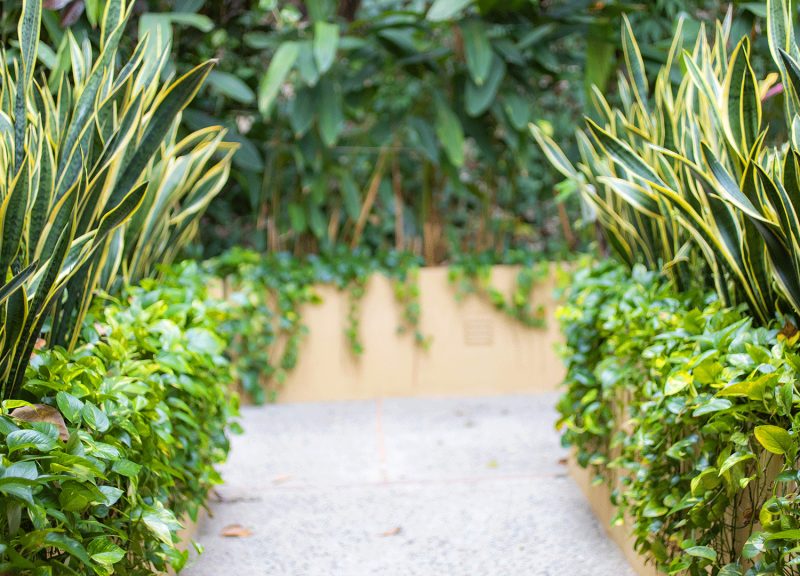 Villa Vista photo 14