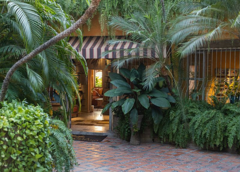 Villa Verano photo 2