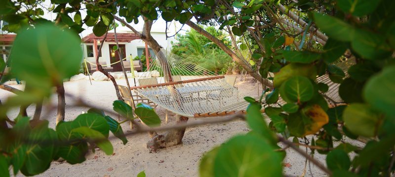 Beach Escape photo 18