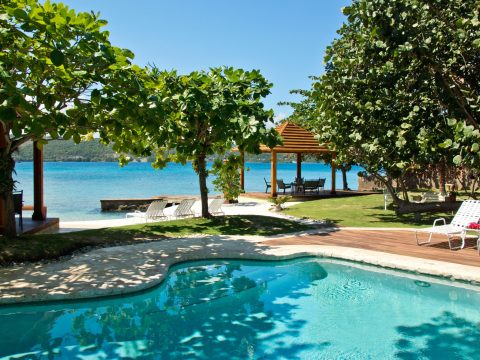 Sea Grapes on the Beach in Discovery Bay, Jamaica