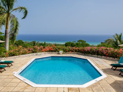 Nutmeg in Montego Bay, Jamaica