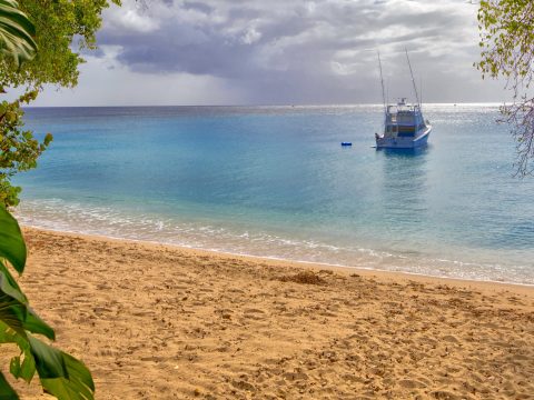 Waverly 1 in Gibbs Bay, Barbados