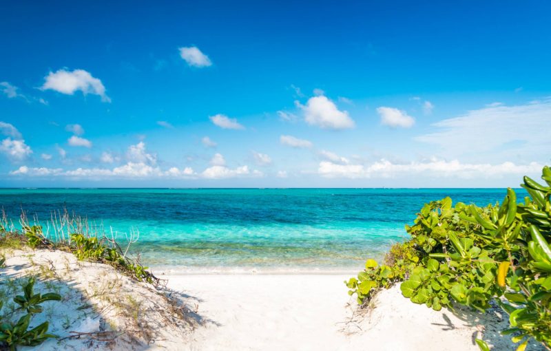 Beach Villa Paprika photo 8