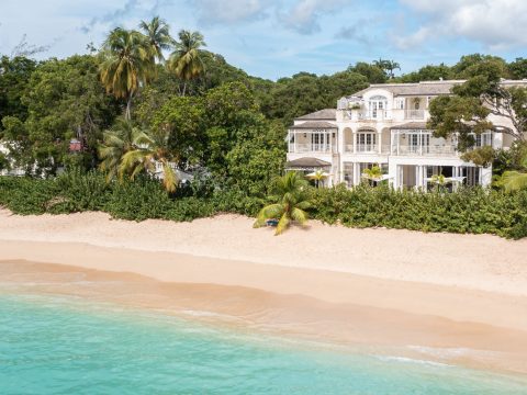 Kiko in Paynes Bay, Barbados