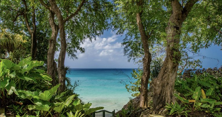 Maddox in St. James, Barbados