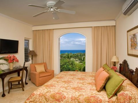 Coco de Mer in Peter Bay, St. John